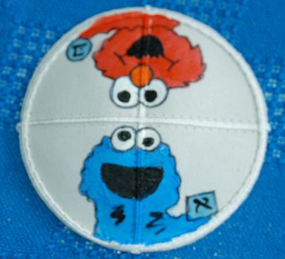 SesameStreetBrisLg.jpg