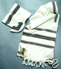 TLGS-20/B or TLGS-20/M
