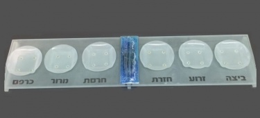 Glass Seder Plate with Raised Fused Glass Center, Long