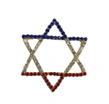 Jewish Star Pin