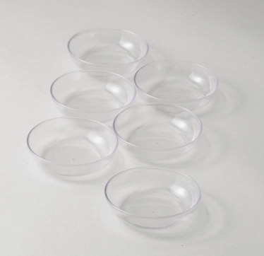 Acrylic Seder Plate Liner Bowls