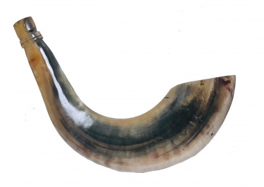  Moroccan Ram's Horn Shofar 