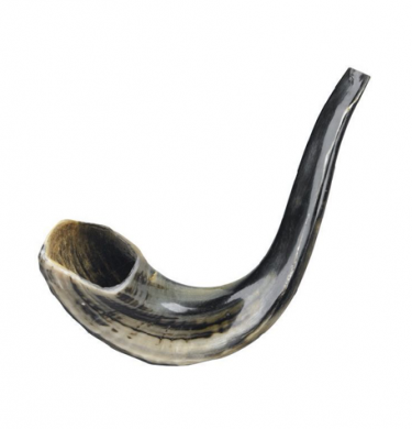 Shofar 