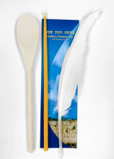 Bedikata_chametz