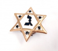 Star of David.jpg