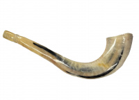 shofar_moroccan_2