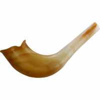 shofar_plastic_natural_3