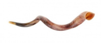 shofar_yemenite