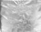 Letherette Silver Bris Pillow with Emboridery 1