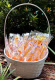 Rosh Hashanah Honey Dipper with Bee on Top 2