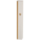 Aluminum Silver Mezuzah with Gold Stripe - 12cm